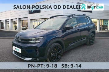 1.6 PHEV 225 Max EAT8 SalonPL FVat Dobrze Wyposażony Od Ręki