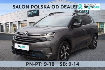 1.6 PHEV Shine 225KM EAT8 SalonPL FVat Bogata Wersja